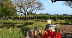 Wineries SonomaCounty.com