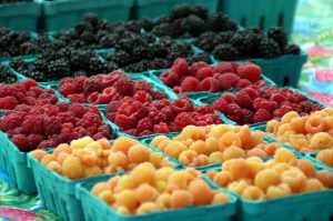 Sebastopol Farmers Market