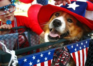 4th of July Sonoma County