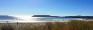 Doran Beach Sonoma County