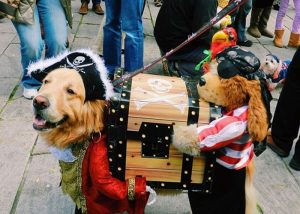 Halloween Pet Parade
