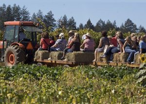 Shone Farm Fall Festival