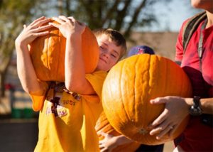 Tolay Fall Festival