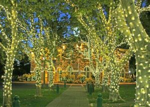 Holiday lights Sonoma Plaza