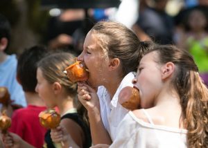 Gavenstein Apple Fair
