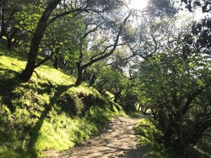 Sonoma County Regional Parks