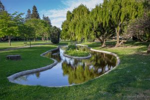 Luther Burbank Gardens by Jason Baldwin