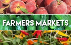 Farmers Markets in Sonoma County