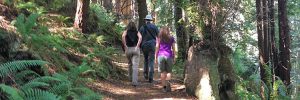 Hikers at Stillwater Cove