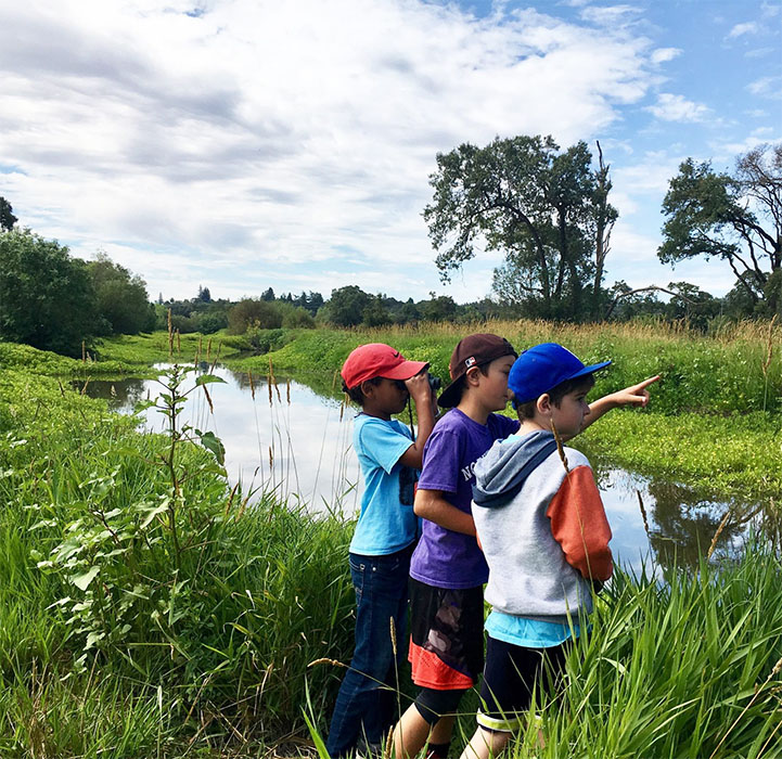 Laguna Wetlands