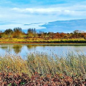Laguna watrshed