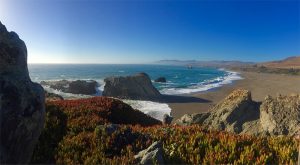 Sonoma Coast State Park
