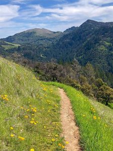 Sugarloaf Park