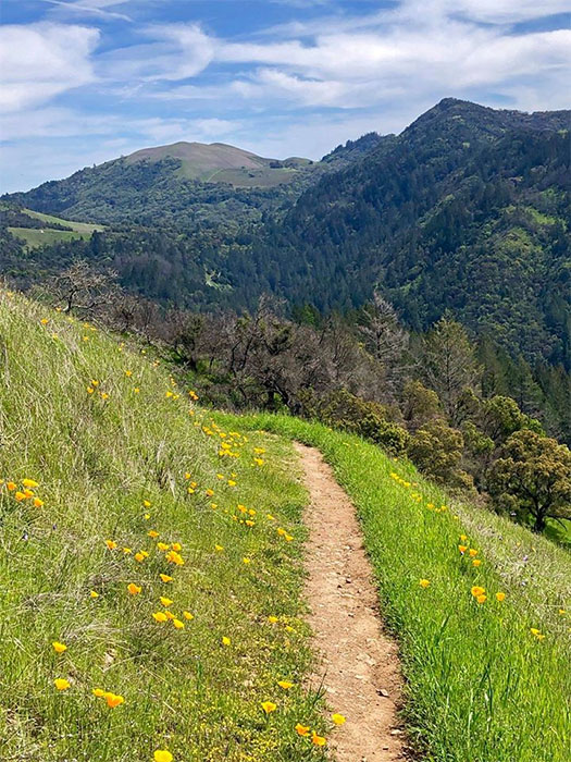 Sugarloaf Park
