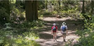 Jack London Park