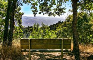 Spectacular views at Jack London State Park.