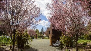 Sculpture Garden at Museum of Sonoma County