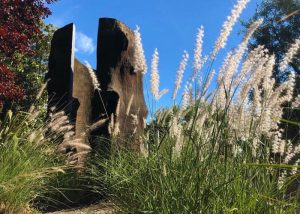 Sculpture Garden at Museum of Sonoma County