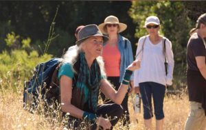 Forest Therapy at Sugarloaf Park