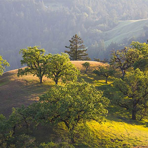 Pole Mountain hike by Sonoma Land Trust