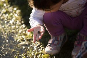 Quests at Sonoma County Regional Parks