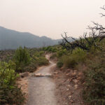 Sugarloaf fire recovery walk