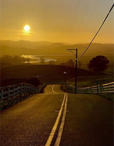 Tolay Lake Regional Park. Photo by Nathan Horrocks.