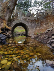 Arched bridge over stream on Dunbar, near Kenwood. Photo by Lisa Lombardi.