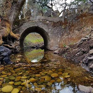 Arched bridge near Kenwood. Photo by Lisa Lombardi.