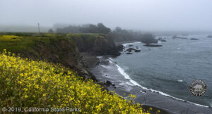 Sonoma Coast State Park