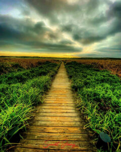 Bodega Golf Course .. Sunset. Photo by Jimmy Casares Jr.