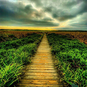 Bodega Golf Course .. Sunset. Photo by Jimmy Casares Jr.