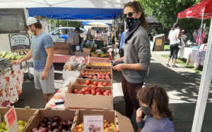 Healdsburg Farmers Market