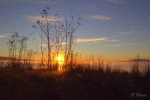 Sunset from a hilltop at Karah Estate Vineyards, Cotati. Photo by Robert Carson.