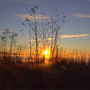 Sunset photo by Robert Carson