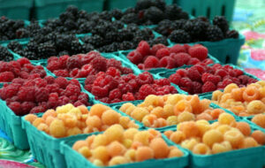 Fruit at farmers market in Sonoma County.