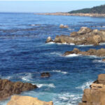 Stillwater Cove, Jenner