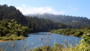 Riverfront Regional Park