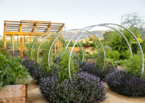 Cornerstone Sonoma