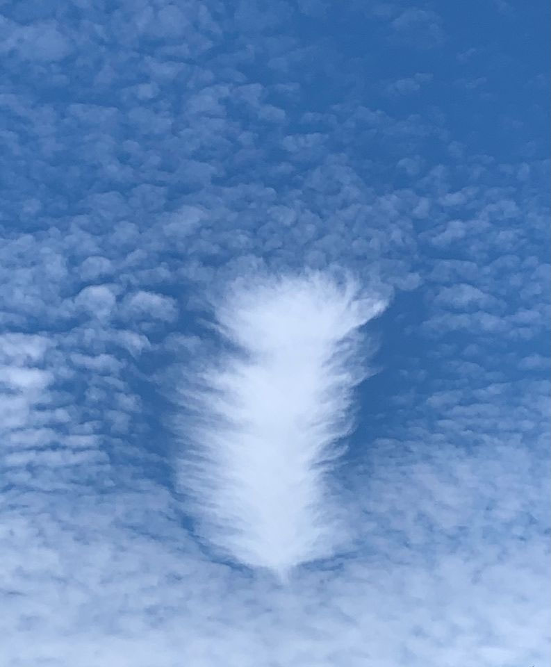 Feather Cloud Windsor Photo by Aimee Child Gray