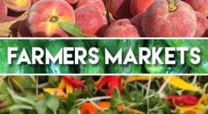 Farmers Markets in Sonoma County