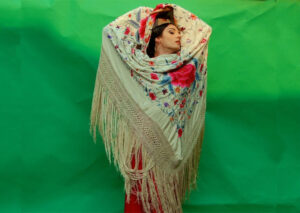 Flamenco Santa Rosa Arts