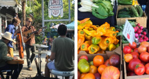 Farmers Markets in Sonoma County