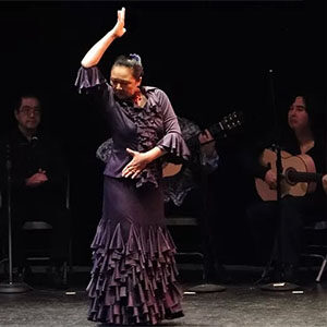 Flamenco in Petaluma