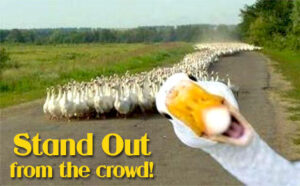 Goose standing out from the others