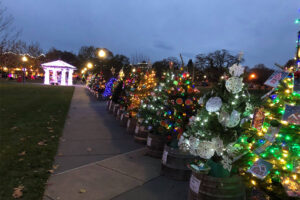 Charlie Brown Christmas Tree Grove in Windsor