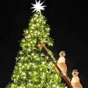 Snowman Tree Lighting + Toy Drive at Cornerstone-Sonoma