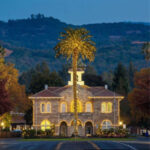 Holiday Lighting of the Sonoma Plaza