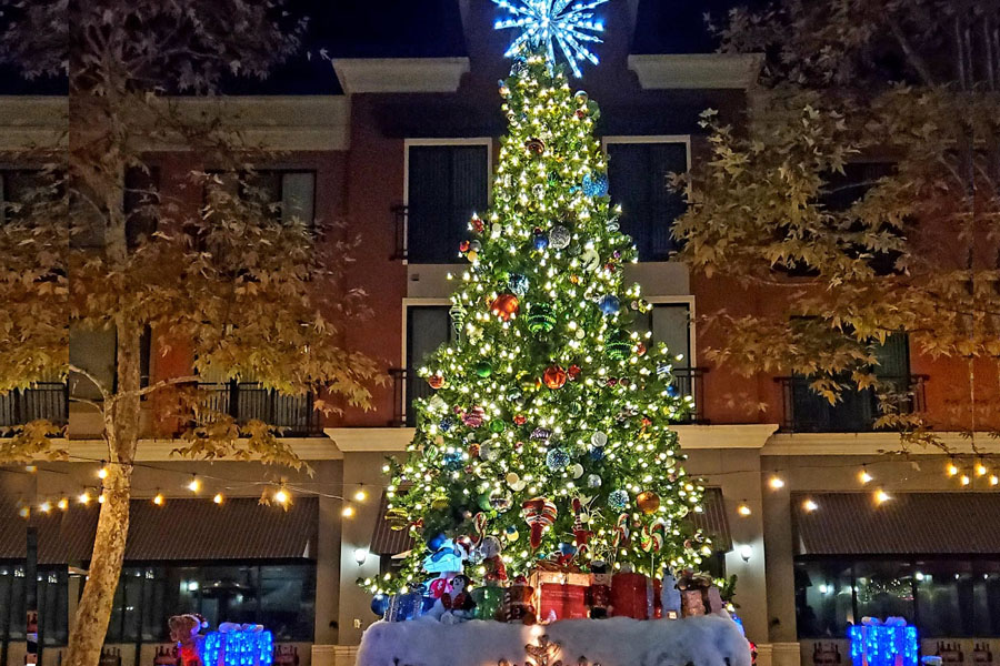 Holiday Tree at the Petaluma Hotel