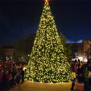 Petaluma Theatre Square Tree Lighting